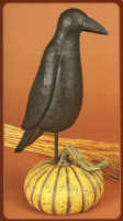 WW6074 Upright black crow perches on a striped squash